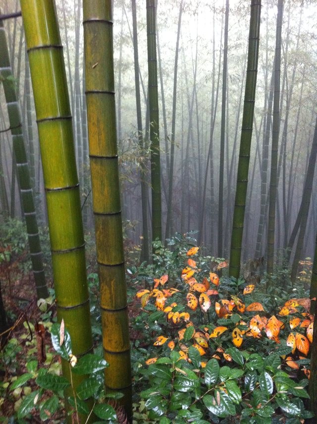 qqͼƬ20131104075544.jpg
