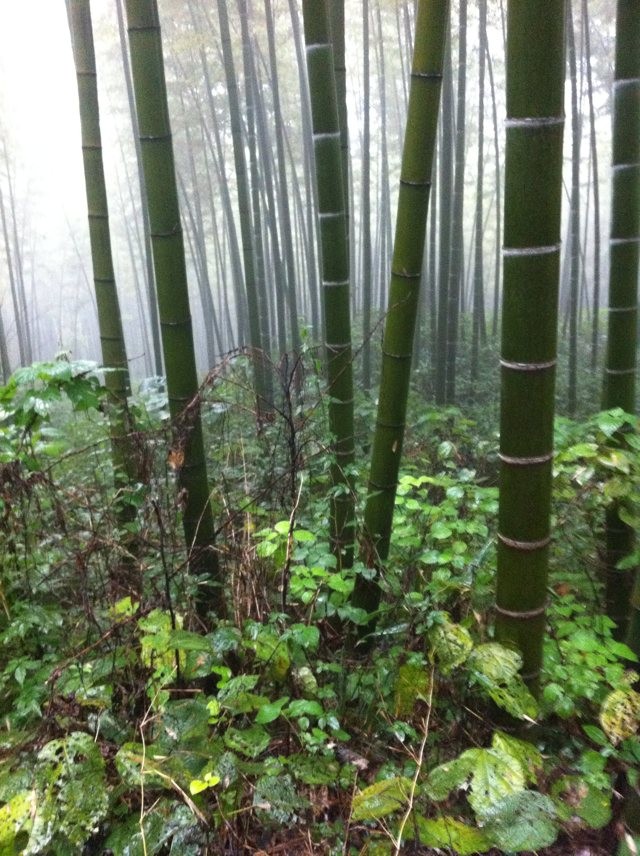 qqͼƬ20131104075550.jpg