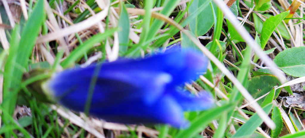 img_0015_.jpg