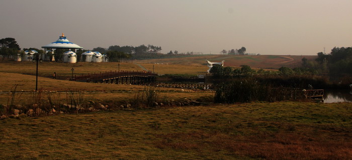 img_9503_缩小大小.jpg