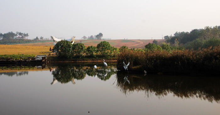 img_9520_缩小大小.jpg