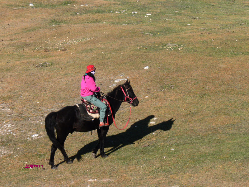 p1280999.jpg