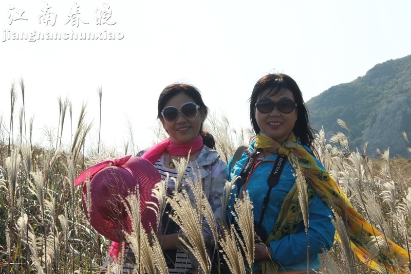 neo_img_img_0253.jpg