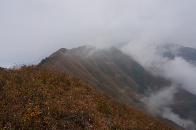 dsc03065.jpg