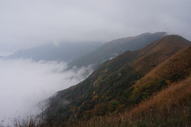 dsc03075.jpg