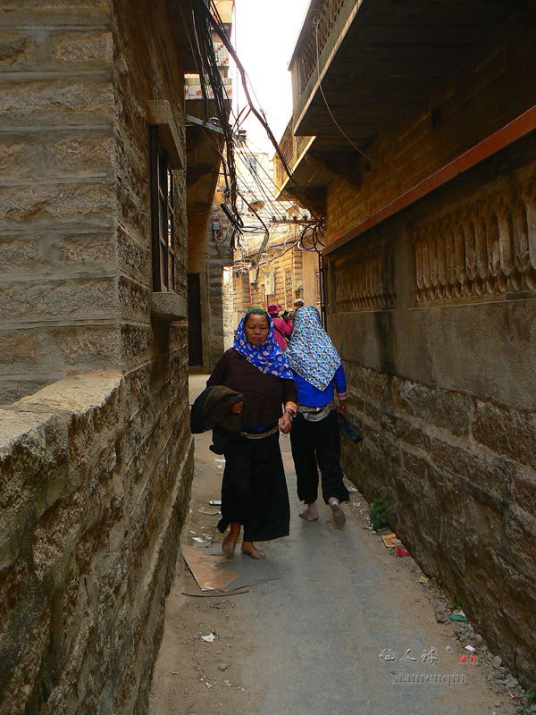 p1310468.jpg