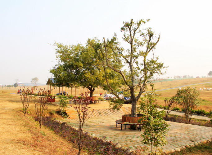 img_9545_缩小大小.jpg
