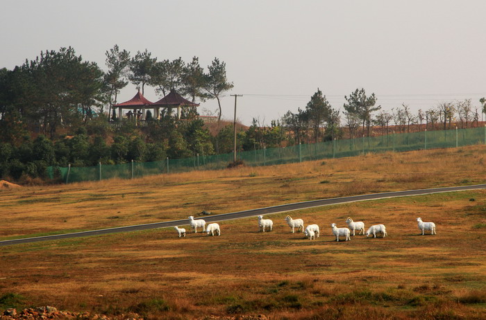 img_9543_缩小大小.jpg