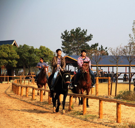 img_9557_缩小大小.jpg