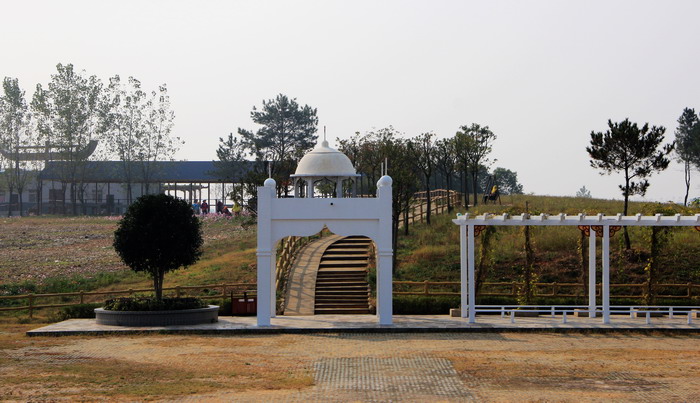 img_9573_缩小大小.jpg