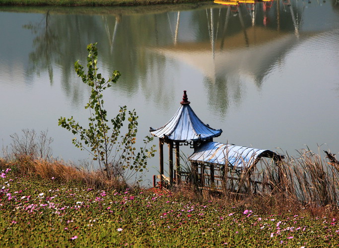 img_9582_缩小大小.jpg