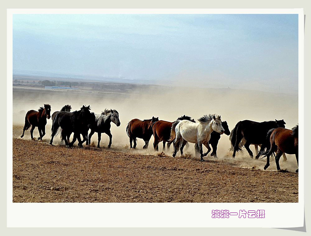 neo_img_dsc_6856_.jpg