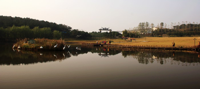 img_9535_缩小大小.jpg