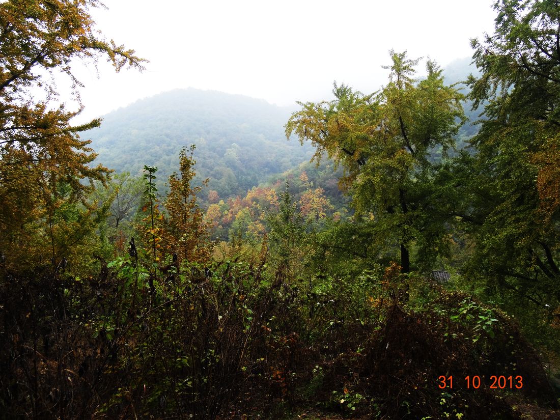 neo_img_dsc05739.jpg