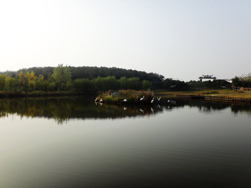 20131161272870796.jpg