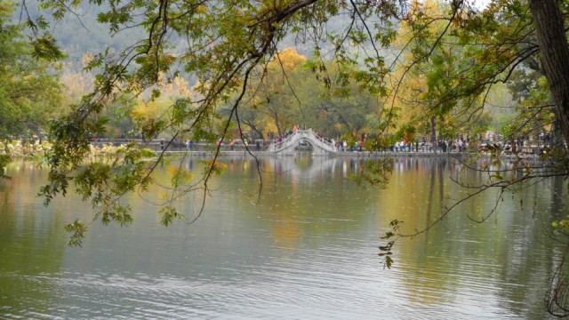 sam_0520 .jpg