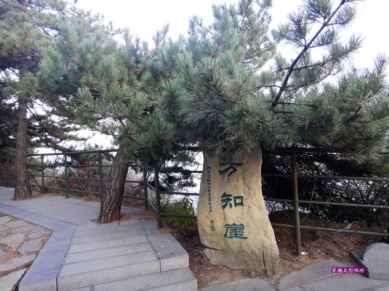 dsc00970.jpg