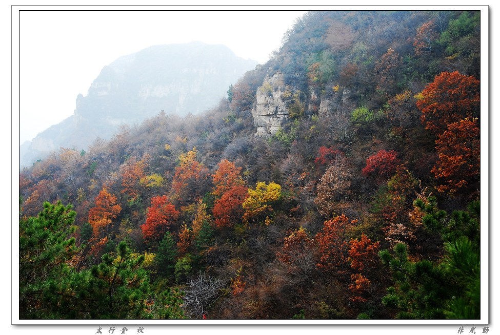 dsc_8770_neo_img.jpg