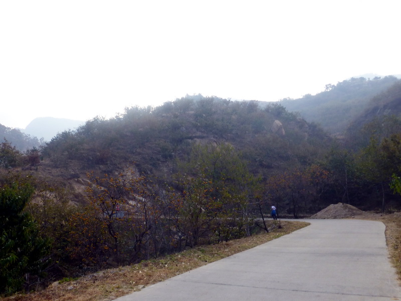 p1130551.jpg