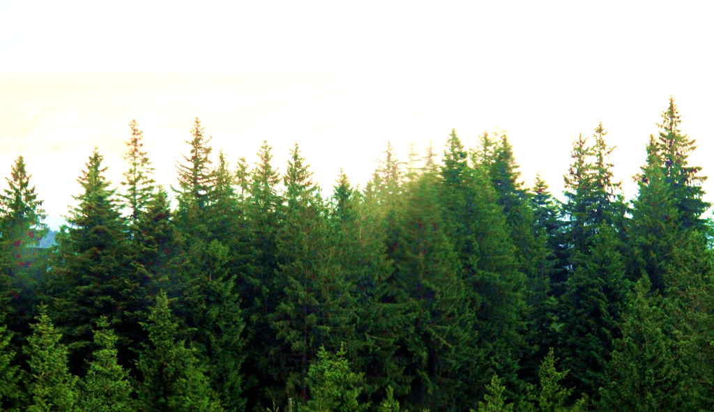 img_0097_.jpg
