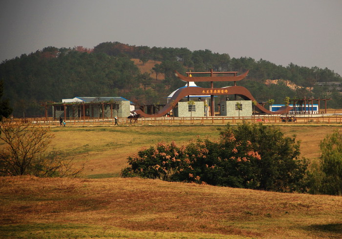 img_9641_缩小大小.jpg