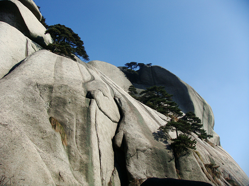 dsc01900_.jpg