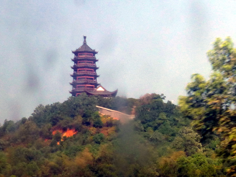 p1110474.jpg