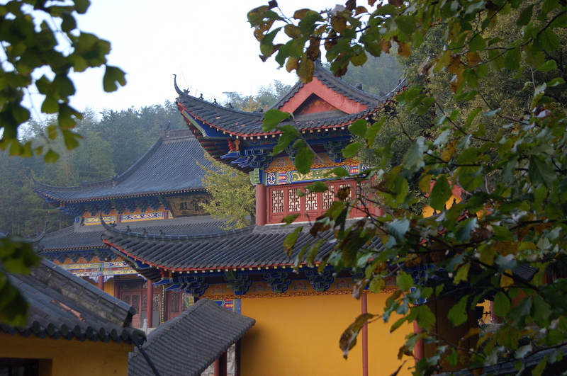 dsc04788.jpg