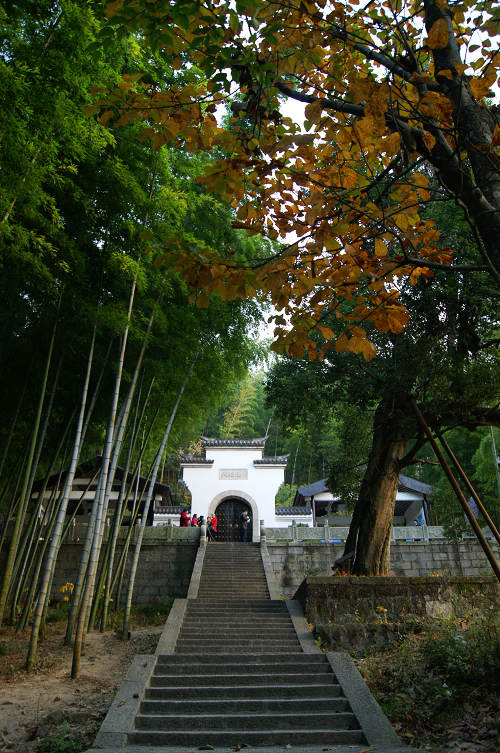 dsc04789.jpg