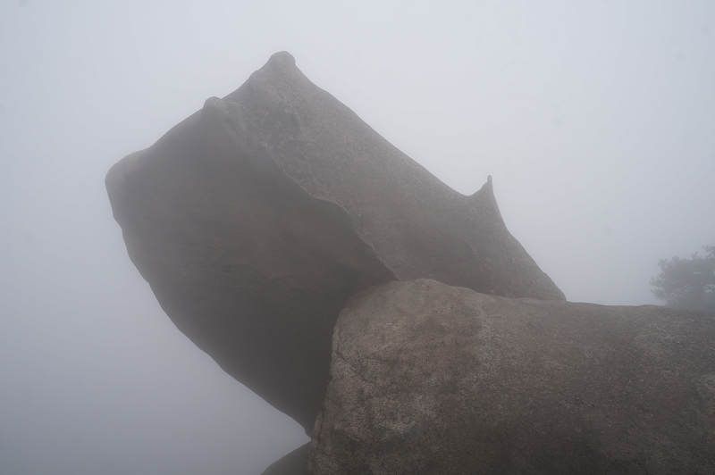 dsc02231.jpg