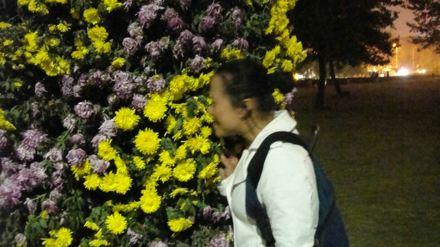 dsc05554.jpg