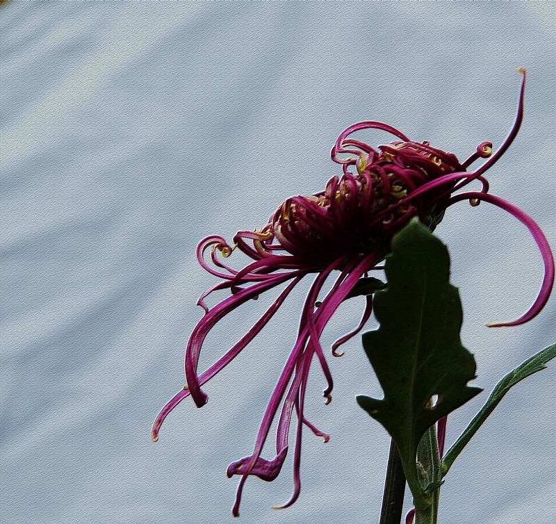 img_4983.jpg