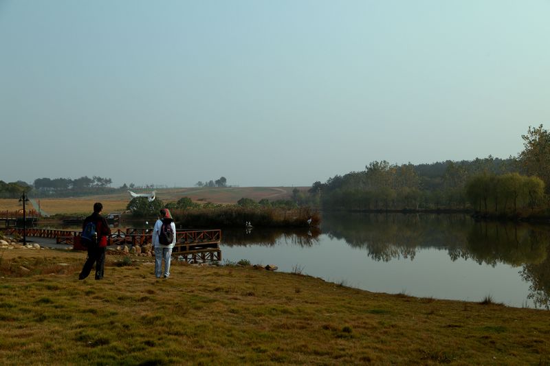 img_9517.jpg