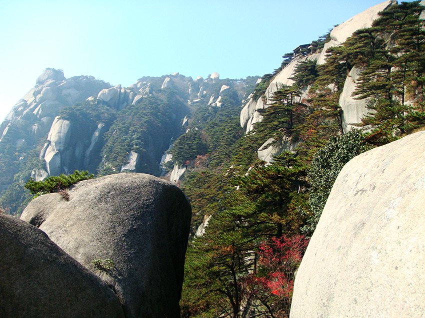 dsc01978_.jpg