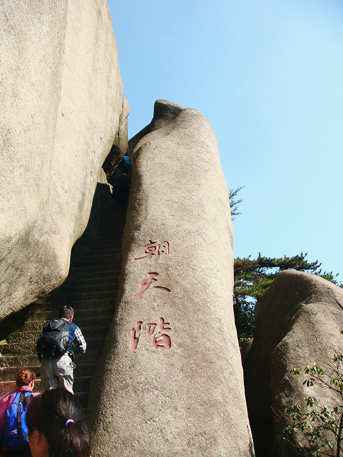 dsc01979_.jpg