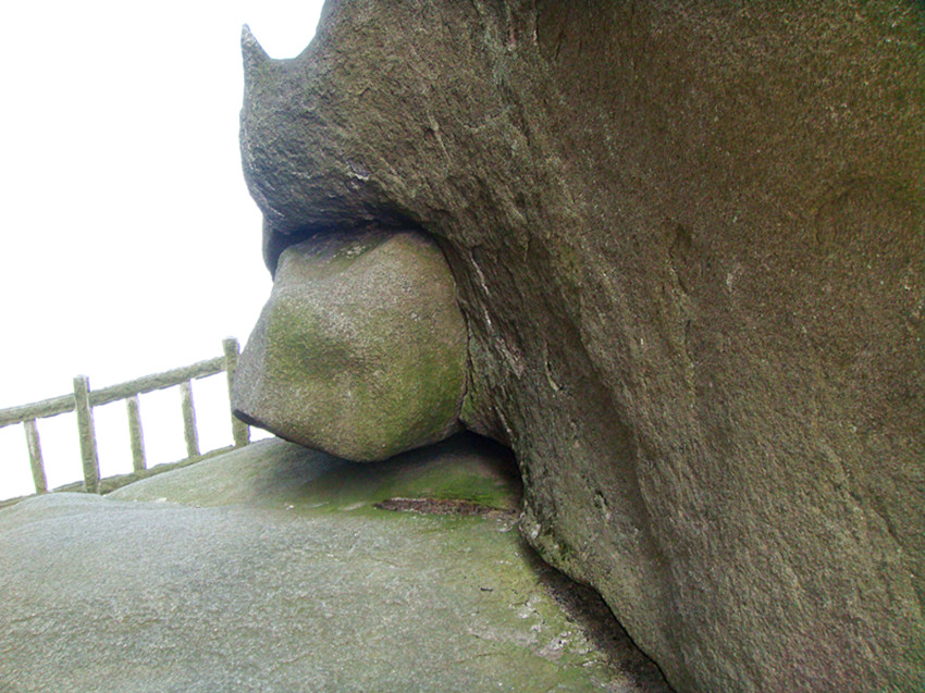 dsc01988_.jpg