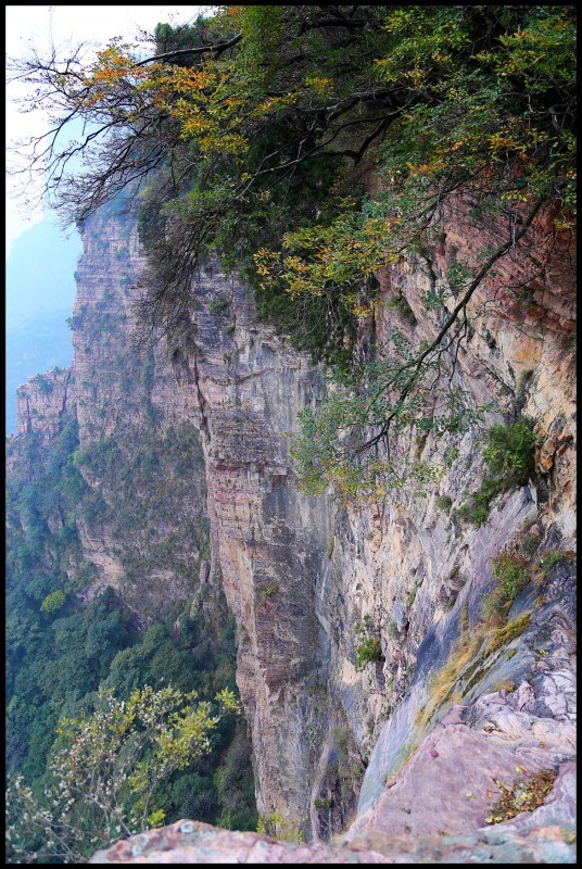 conew_南太行 326_conew1.jpg