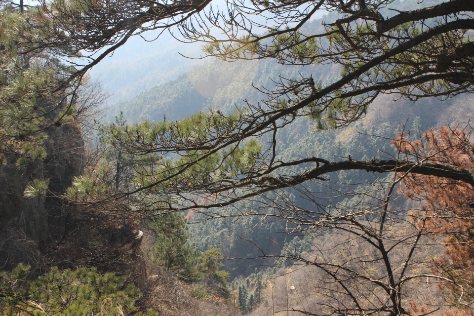 qqͼƬ20131210184954.jpg