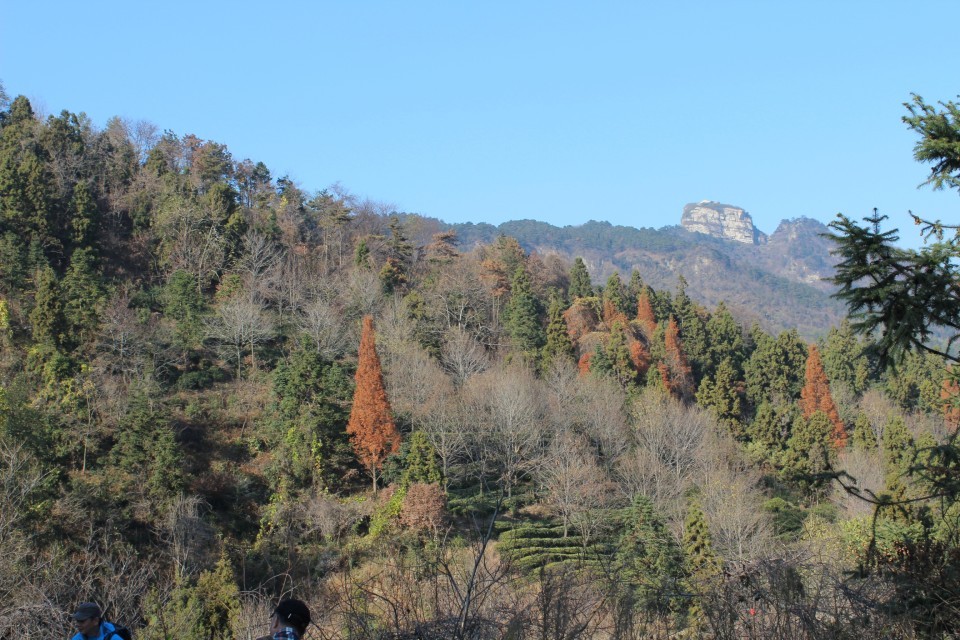 qqͼƬ20131210185043.jpg