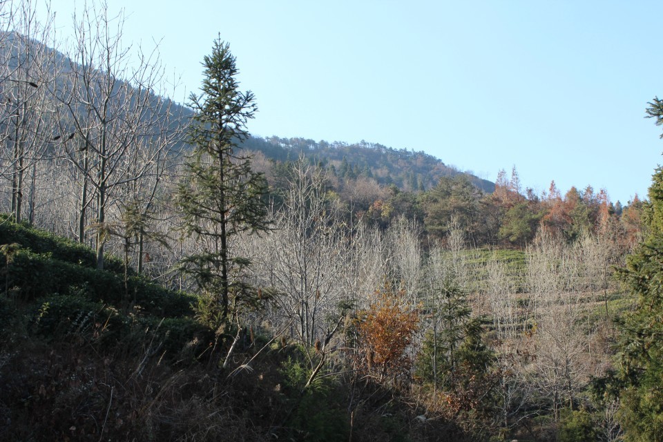 qqͼƬ20131210185052.jpg