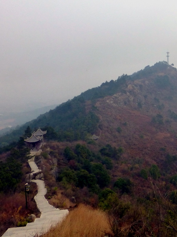 p1150136.jpg