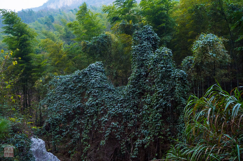 l1002481.jpg