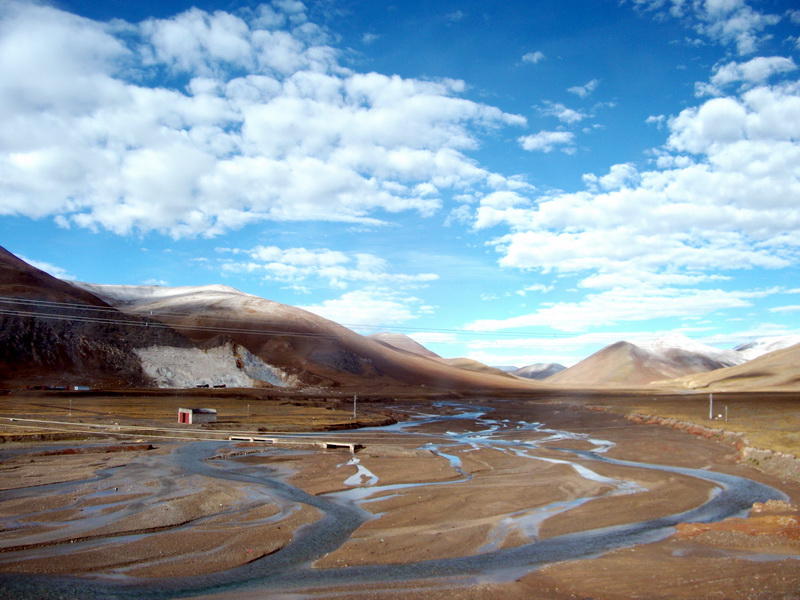 dscf0594.jpg