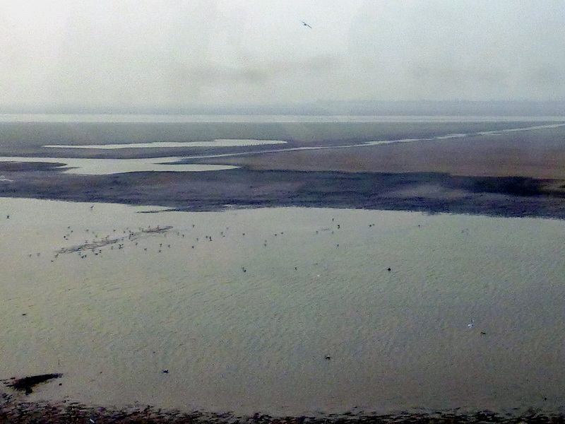 p1150079.jpg