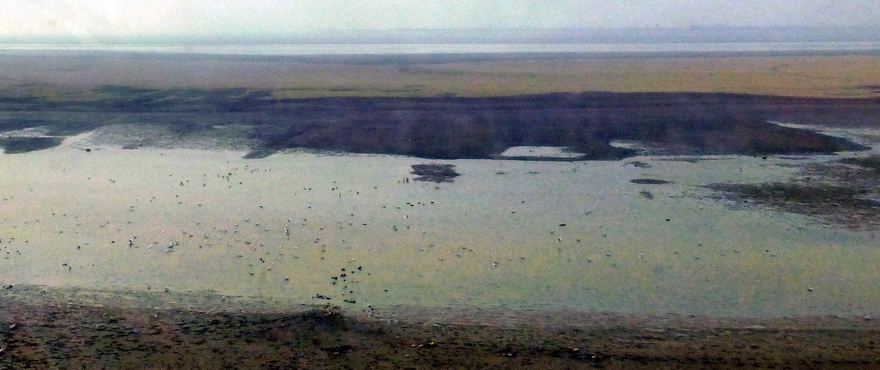 p1150083.jpg