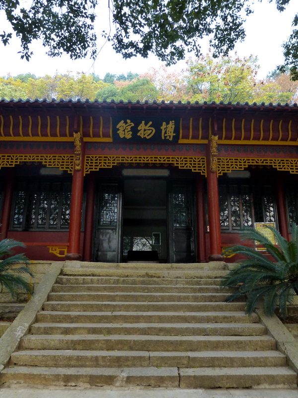 p1150110.jpg