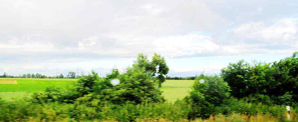 img_1253_.jpg