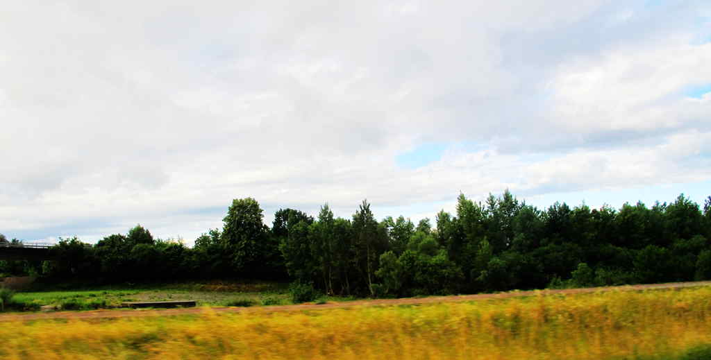 img_1262_.jpg