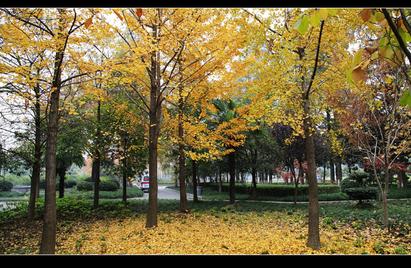 _mg_7729.jpg