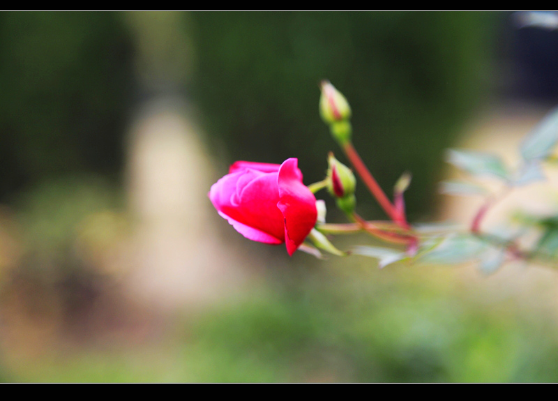 _mg_7798.jpg